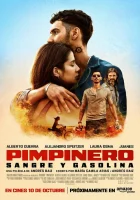  Пимпинеро: Кровь и бензин смотреть онлайн (2024) 