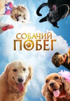  Собачий побег смотреть онлайн (2023) 