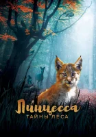  Линцесса. Тайны леса смотреть онлайн (2023) 